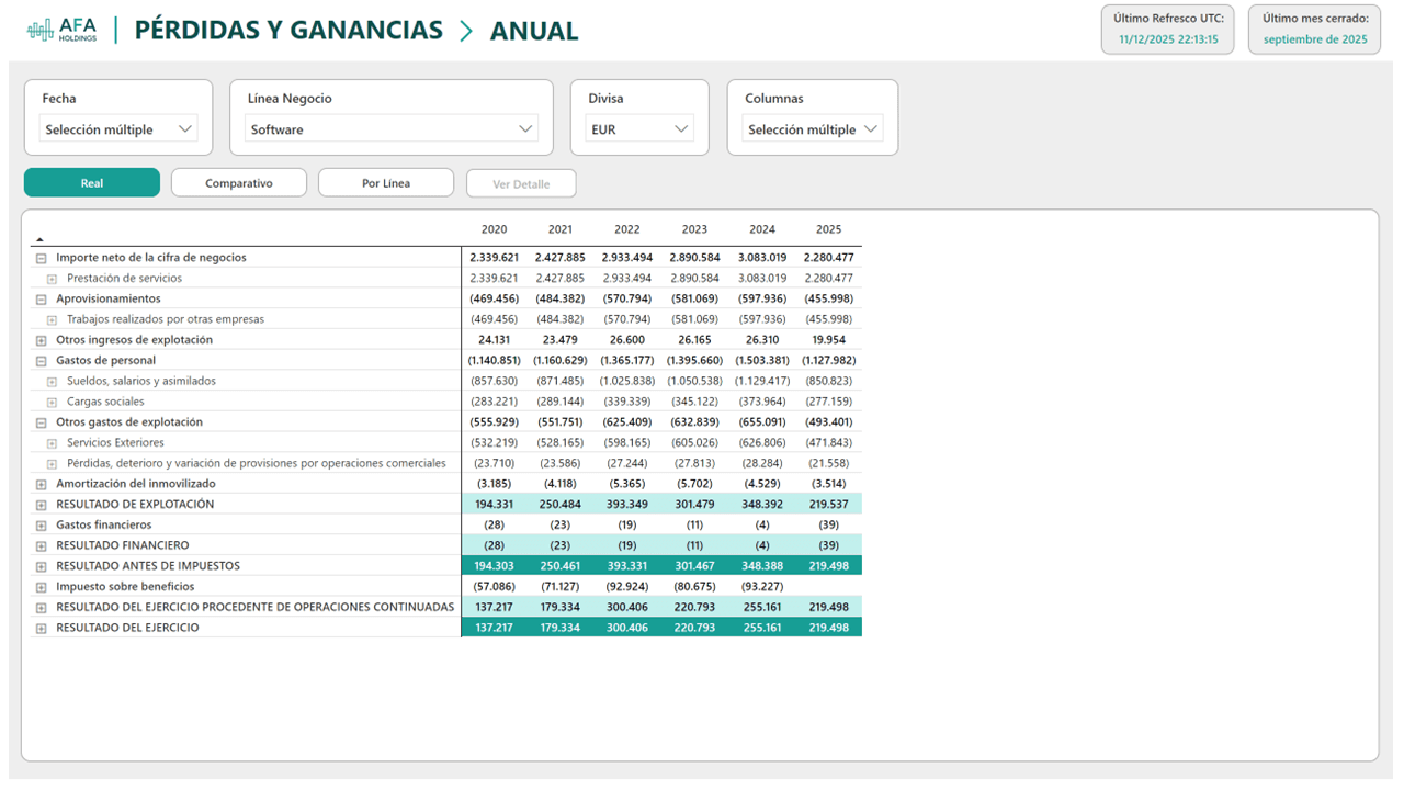 Pérdidas y Ganancias — Vista Anual — desglose por línea de negocio